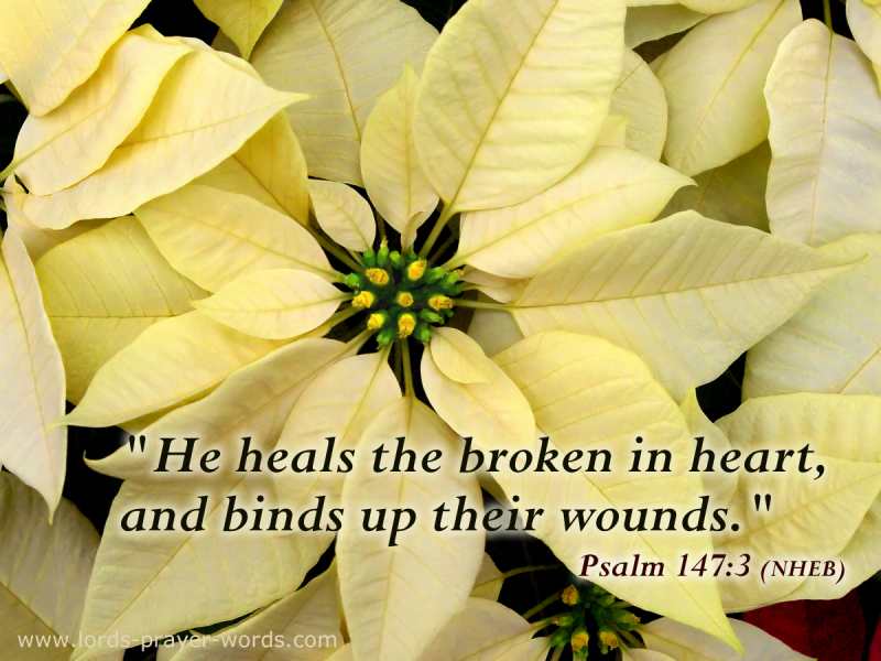 Quote on Healing a broken heart